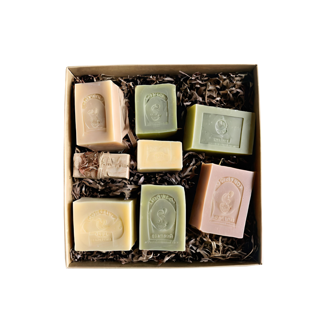 Citrus Bliss Handmade Soap Collection