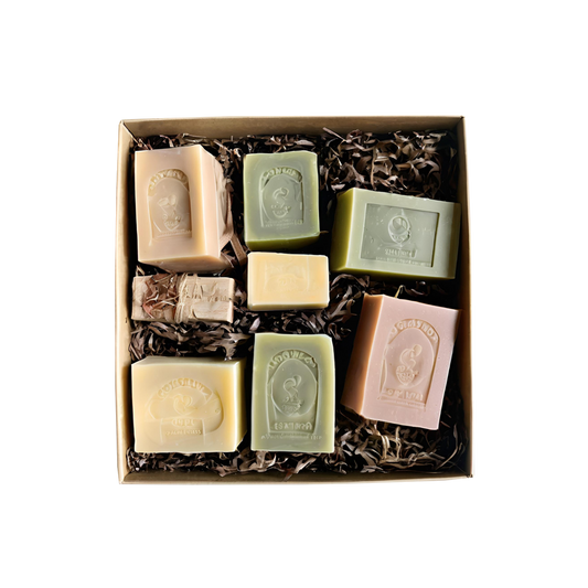 Citrus Bliss Handmade Soap Collection